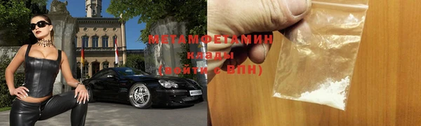 прущие грибы Белокуриха