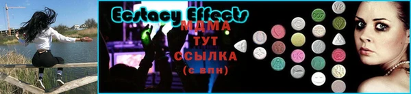 прущие грибы Белокуриха