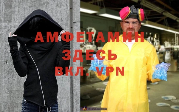 прущие грибы Белокуриха