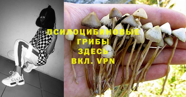 ALPHA-PVP Беломорск